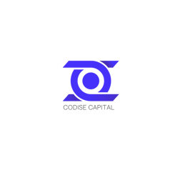 CODISE CAPITAL (2)