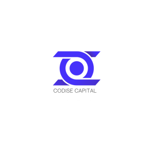 CODISE CAPITAL (2)